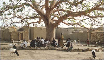 A rvore da palavra, uma instituio do Mali.