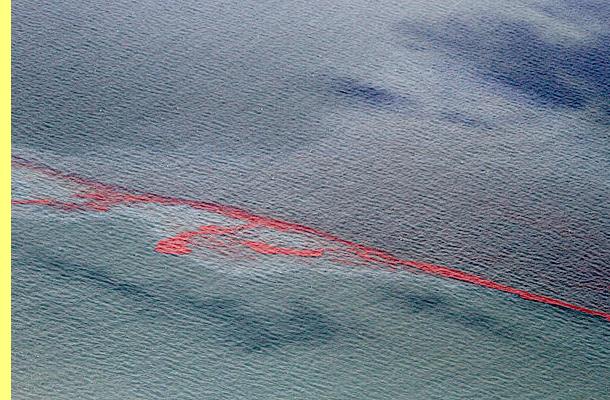 Petróleo
 no Golfo do México.