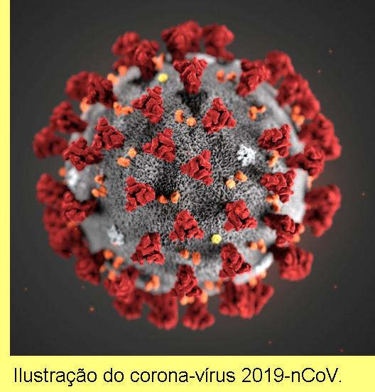 Ilustra��o do corona-virus.