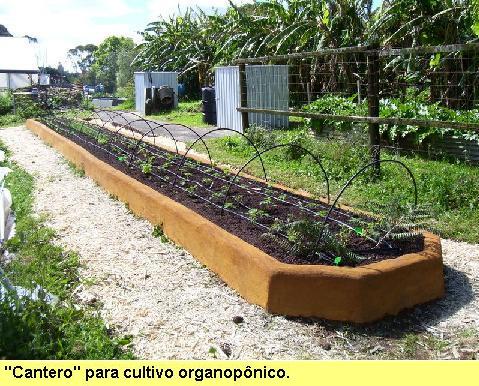 'Cantero' para o cultivo organonoponico.