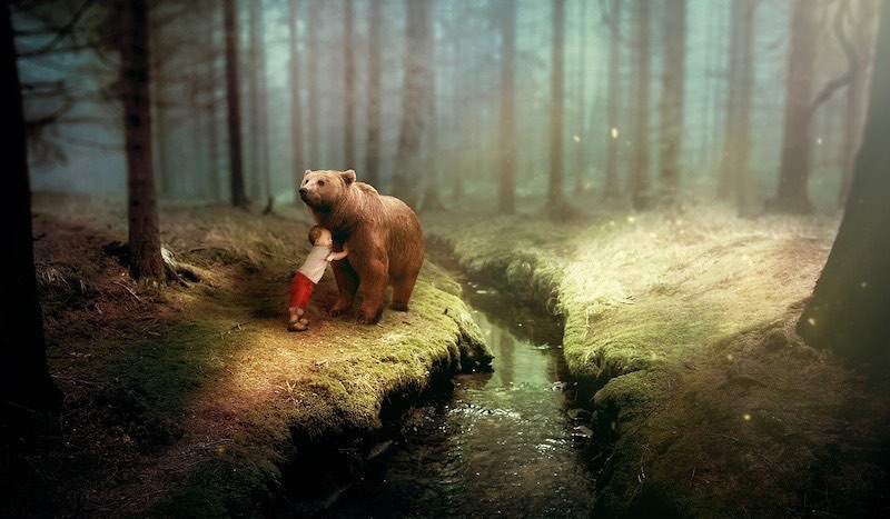 Urso na floresta protege o menino.