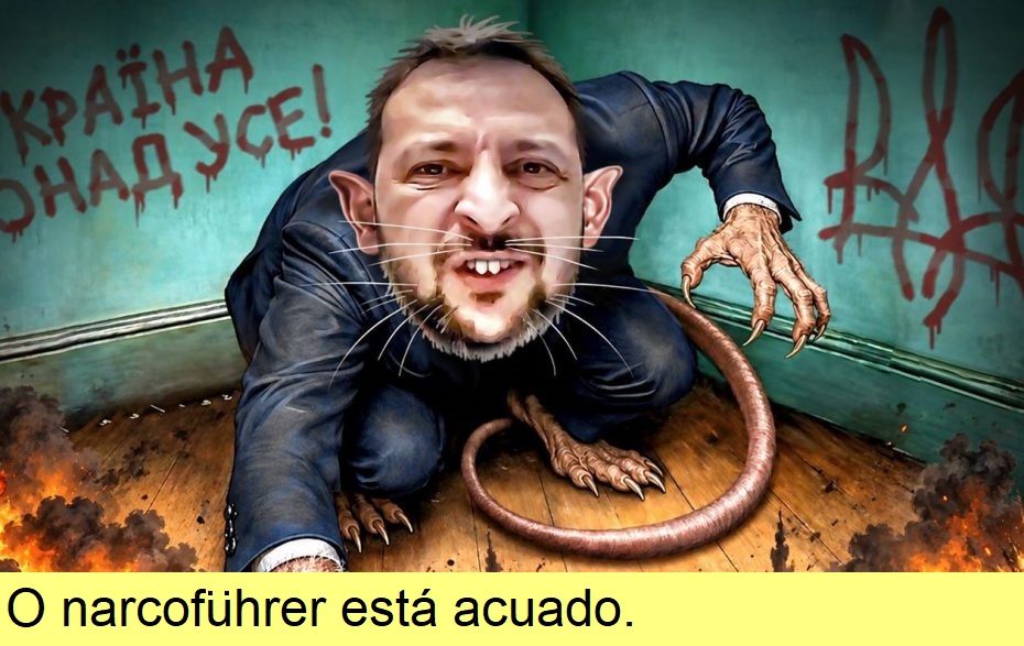 Narcofuhrer acuado.